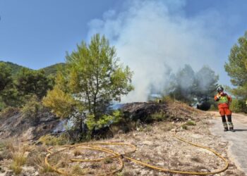Los bomberos dan por controlado un incendio de vegetación en Ayelo de Malferit tras una rápida intervención 14 Los bomberos dan por controlado un incendio de vegetación en Ayelo de Malferit tras una rápida intervención