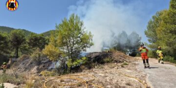 Los bomberos dan por controlado un incendio de vegetación en Ayelo de Malferit tras una rápida intervención