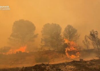 13 medios aéreos tratan de contener el Incendio Forestal de Soneja para que no penetre en la Serra d'Espadà