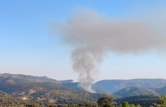 Desplegado un dispositivo de emergencia por un incendio forestal en Culla (Castellón) 1 Desplegado un dispositivo de emergencia por un incendio forestal en Culla (Castellón)