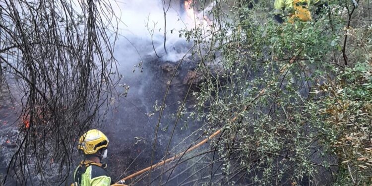 Incendio en Soneja la UME se suma al operativo mientras unas 500 personas siguen desalojadas por el avance de las llamas 3