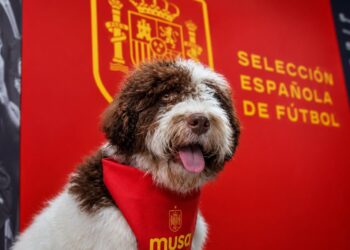 Musa RFEF