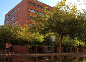Estas son las notas de corte más altas de las universidades valencianas para el curso 2026-2027 14 UNIVERSIDAD