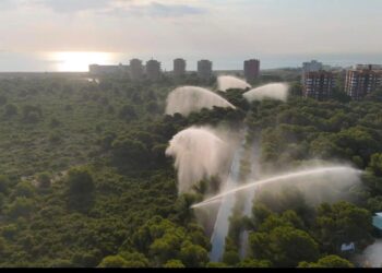 Valencia activa canones de agua refugios climaticos y suspende actividades por la ola de calor 2