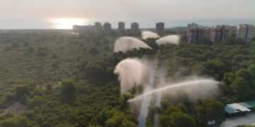 Valencia activa canones de agua refugios climaticos y suspende actividades por la ola de calor 2