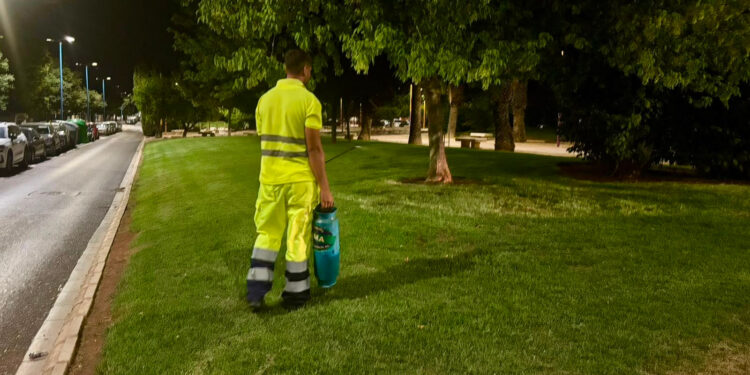 Torrent blinda sus fiestas de verano con un plan extraordinario contra el mosquito tigre y otras plagas 1 Torrent blinda sus fiestas de verano con un plan extraordinario contra el mosquito tigre y otras plagas