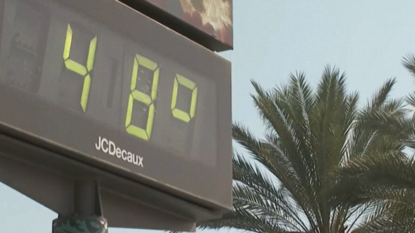 Valencia activa todos sus recursos de emergencia y restringe el acceso a El Saler ante la ola de calor extremo 2 WhatsApp Image 2026 07 07 at 11.05.21