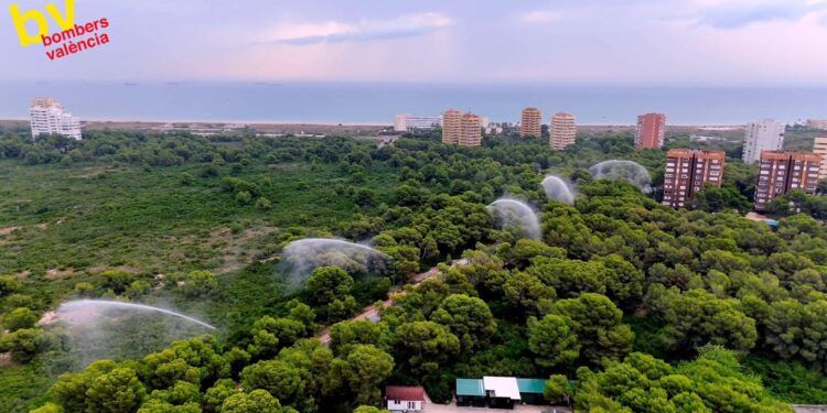 Valencia mantiene cerrado el acceso a la Devesa del Saler y suspende todas las actividades deportivas al aire libre por el calor extremo 1 WhatsApp Image 2026 07 15 at 09.33.31