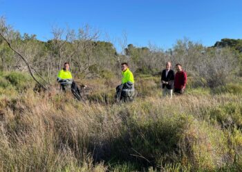 El nuevo servicio de limpieza manual de Devesa-Albufera retira más de 1,7 toneladas de basura en 75 días 16 El nuevo servicio de limpieza manual de Devesa-Albufera retira más de 1,7 toneladas de basura en 75 días