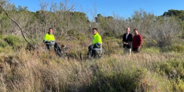 El nuevo servicio de limpieza manual de Devesa-Albufera retira más de 1,7 toneladas de basura en 75 días