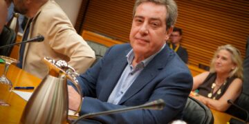 El PP tumba los recortes a la catalanista AVL y Vox se conforma a cambio de introducir la prioridad nacional