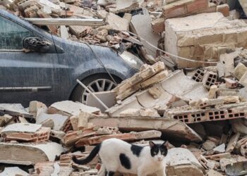 Vecinos y colectivos animalistas se concentran en Benetússer para exigir el rescate de varias mascotas atrapadas en el edificio derrumbado 14 Vecinos y colectivos animalistas se concentran en Benetússer para exigir el rescate de varias mascotas atrapadas en el edificio derrumbado