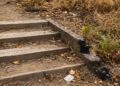 El PSPV exige medidas urgentes ante el riesgo de incendio en el Parque de Benicalap