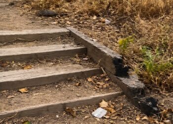 El PSPV exige medidas urgentes ante el riesgo de incendio en el Parque de Benicalap