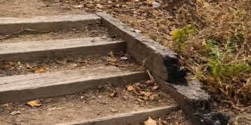 El PSPV exige medidas urgentes ante el riesgo de incendio en el Parque de Benicalap