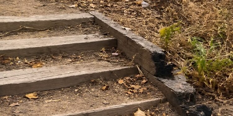 El PSPV exige medidas urgentes ante el riesgo de incendio en el Parque de Benicalap