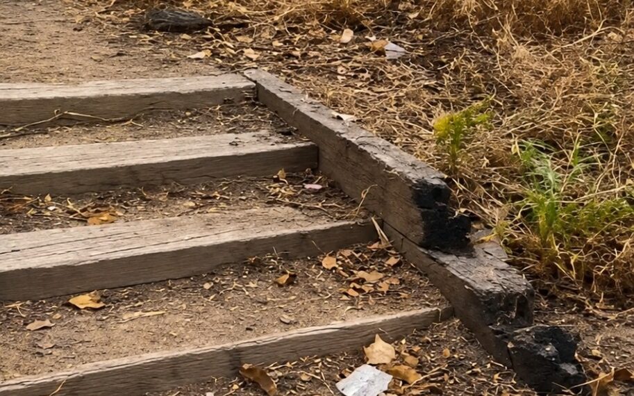 El PSPV exige medidas urgentes ante el riesgo de incendio en el Parque de Benicalap 1 El PSPV exige medidas urgentes ante el riesgo de incendio en el Parque de Benicalap
