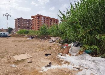 La Asociación Vecinal de Benimaclet responsabilizará al Ayuntamiento ante posibles incendios por la acumulación de maleza en la Ronda Norte 14 La Asociación Vecinal de Benimaclet responsabilizará al Ayuntamiento ante posibles incendios por la acumulación de maleza en la Ronda Norte