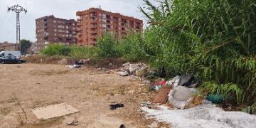 La Asociación Vecinal de Benimaclet responsabilizará al Ayuntamiento ante posibles incendios por la acumulación de maleza en la Ronda Norte