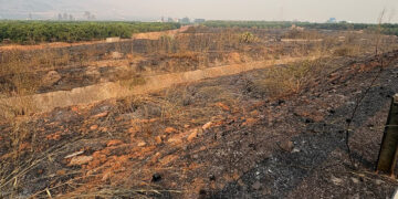 El incendio de Castellón devasta campos, invernaderos y granjas en el sur de la provincia
