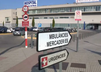 Localizan al bebé sustraído del hospital de Gandía y detienen a los padres y a una hermana de la madre 14 b2c76417 4aa1 4d2f a25d 4234faa88cf9 16 9 aspect ratio 1600w 0