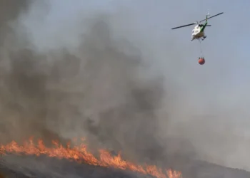 Los medios aéreos aprovechan la mejora del tiempo para atacar el incendio de Los Gallardos mientras el fuego ya supera las 6.600 hectáreas 13 b99e12b4 f2fb 4d0a 8eed a90d6e585e26 16 9 aspect ratio 1600w 0