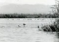 ba67d79a 117b 4851 bec3 999f99864556 16 9 aspect ratio 1600w 0 1