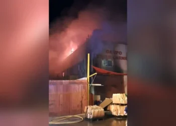 Un incendio provoca el derrumbe parcial del techo de una nave industrial en Santa Pola 14 bd4ee56c c128 4a7a 8b12 24bd22968a59 16 9 aspect ratio 1600w 0