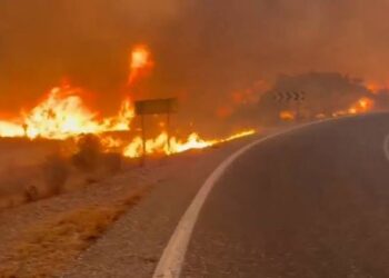 Controlado el incendio de Los Gallardos tras causar 13 muertos y arrasar más de 7.000 hectáreas en Almería