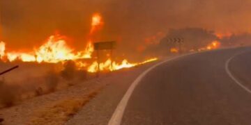 Controlado el incendio de Los Gallardos tras causar 13 muertos y arrasar más de 7.000 hectáreas en Almería