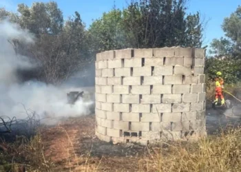 Los bomberos atienden 25 avisos por incendios de vegetación en Valencia en plena ola de calor 19 incendio campo quema