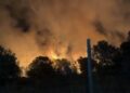 Incendio declarado esta noche en el Parque Natural de La Mata y Torrevieja