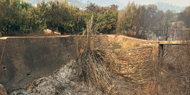 AVA-ASAJA exige responsabilidades a la CHJ tras actuar los barrancos «abandonados» como corredores del fuego en Espadán