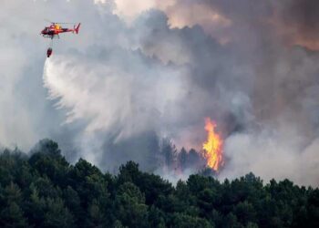 Los incendios del centro de España siguen activos, aunque la mejora del tiempo favorece la extinción 14 jN0GhAtm1 8vlLeR0AMryncdDa5Tz9AhOSMWW9BLGSauzWg6ojpD7SFJUc6bN IqP P txSGmBk7qZBULVAiTgeJUw0yY1jN6BjXq7xbwpWAbMt2u0qfserHF4k5Y59 NIFLMfsJKzFlkrGvF3mbC 35LlE2yX1vxv0bxB4VX69nLPzzYOlwMeBMUgGeSk