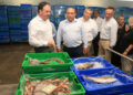 Pérez Llorca destaca un aumento de casi el 40% en las ayudas al sector pesquero de la Comunitat Valenciana 17 lonja de pescadores de Santa Pola 1 scaled 1