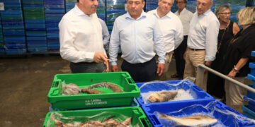 lonja de pescadores de Santa Pola 1 scaled 1