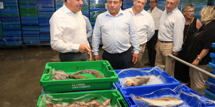 lonja de pescadores de Santa Pola 1 scaled 1