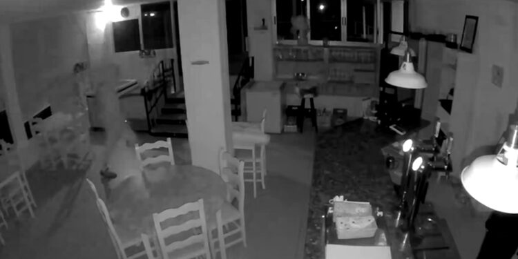 La Guardia Civil detiene al autor de una oleada de robos y estafas en El Perellonet 1 La Guardia Civil detiene al autor de una oleada de robos y estafas en El Perellonet