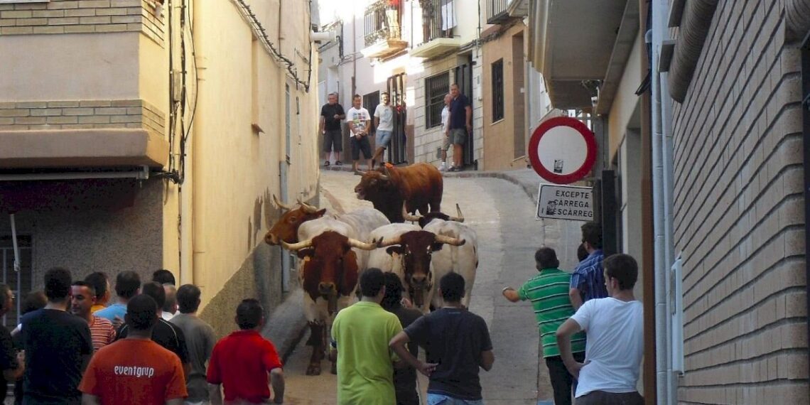 La Generalitat destinará más de 700.000 euros para apoyar los festejos taurinos tradicionales en 2026 1 toros xl