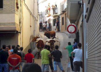 La Generalitat destinará más de 700.000 euros para apoyar los festejos taurinos tradicionales en 2026 14 toros xl