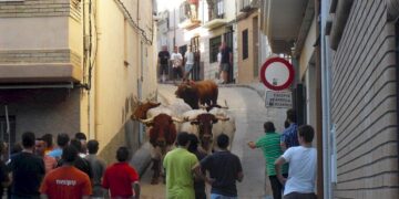 toros xl