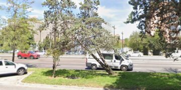 trafico vlc