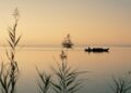 0621 Lluent Albufera