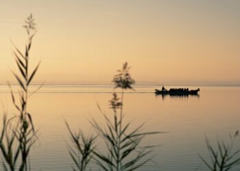 0621 Lluent Albufera