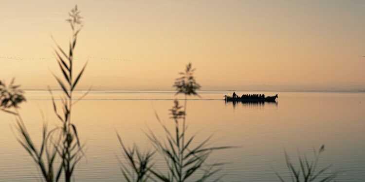 0621 Lluent Albufera