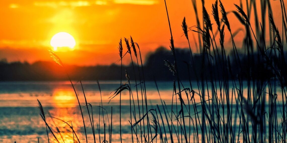 0731 Sol i Albufera