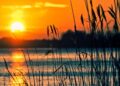 EMT Valencia reforzará el servicio de autobuses para facilitar los desplazamientos durante el eclipse solar del 12 de agosto 10 0731 Sol i Albufera