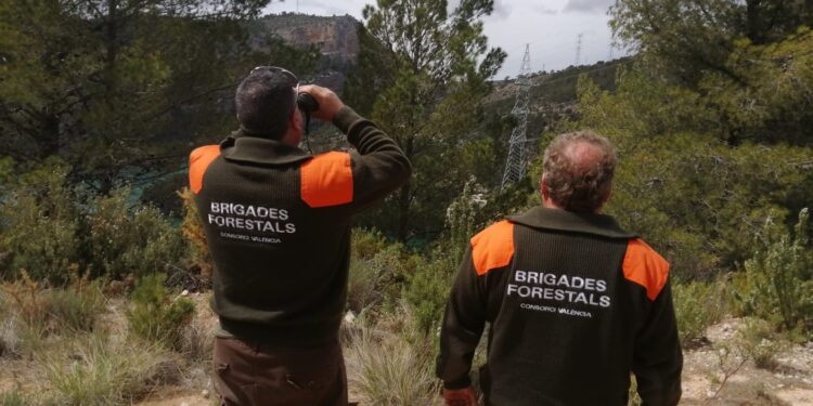 El Consorcio de Bomberos refuerza su dispositivo forestal ante el riesgo extremo de incendios por las altas temperaturas 1 El Consorcio de Bomberos refuerza su dispositivo forestal ante el riesgo extremo de incendios por las altas temperaturas