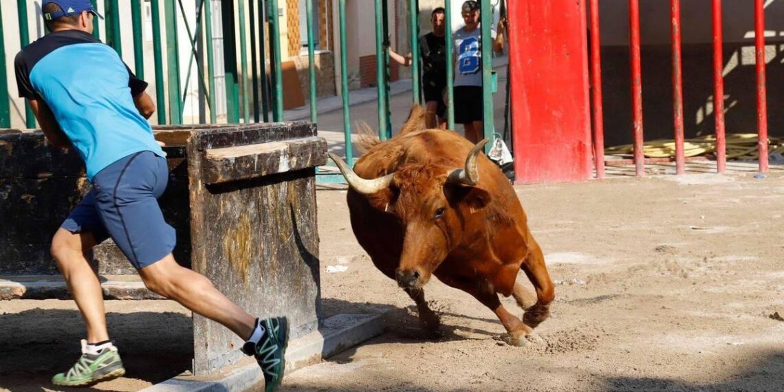 Exigen al Ayuntamiento de Tírig la suspensión definitiva de los festejos taurinos tras la muerte de un joven de 21 años 1 Exigen al Ayuntamiento de Tírig la suspensión definitiva de los festejos taurinos tras la muerte de un joven de 21 años