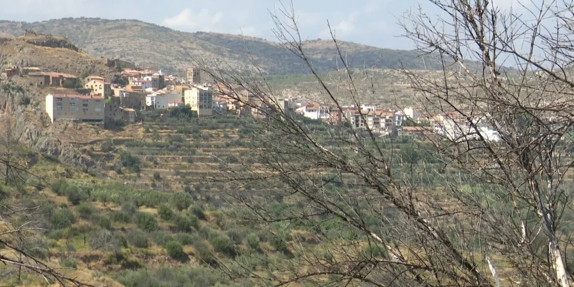 El verde vuelve a los montes de Bejís cuatro años después del devastador incendio que arrasó más de 19.000 hectáreas 1 1f7c7b5f 35ec 4172 a27e 3a51c206a39a 16 9 aspect ratio 1600w 0